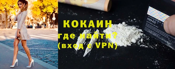 соль ск Алексин