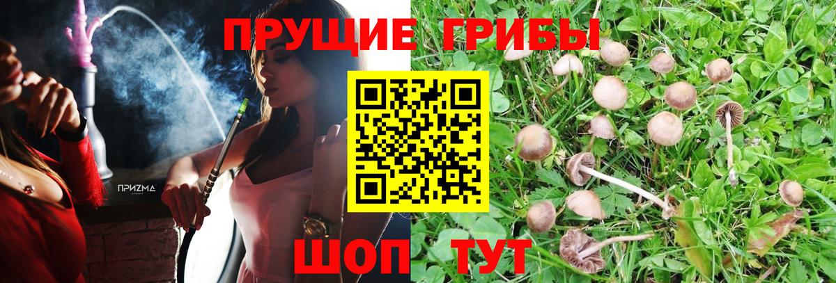 Псилоцибиновые грибы Psilocybine cubensis  Галлюциногенные грибы ЛСД  Вход с VPN  Владивосток 